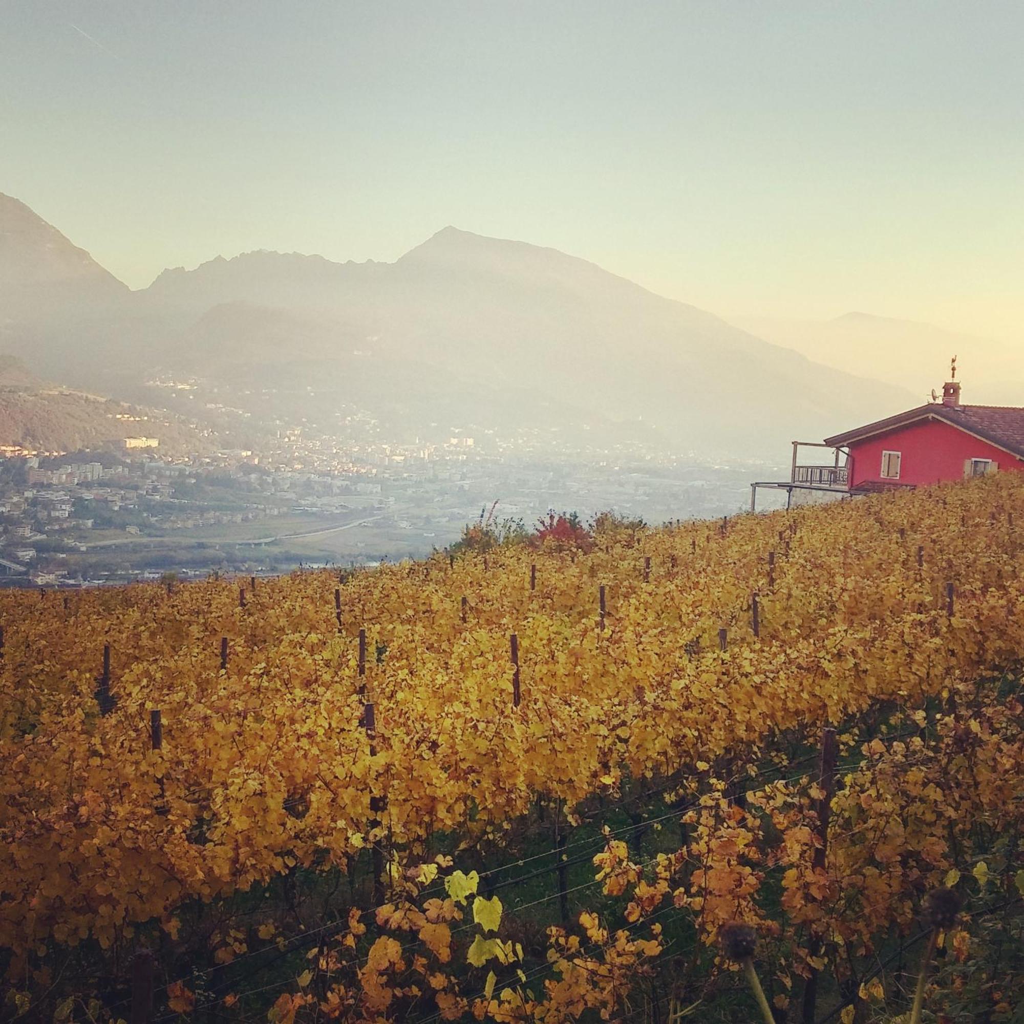 Agritur Maso Spezial Villa Villa Lagarina Kültér fotó