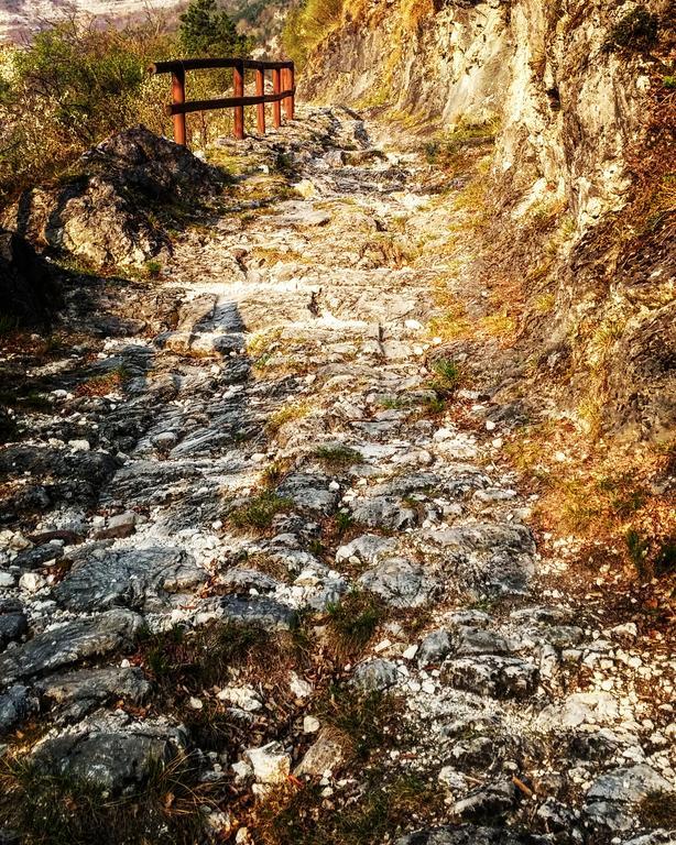 Agritur Maso Spezial Villa Villa Lagarina Kültér fotó