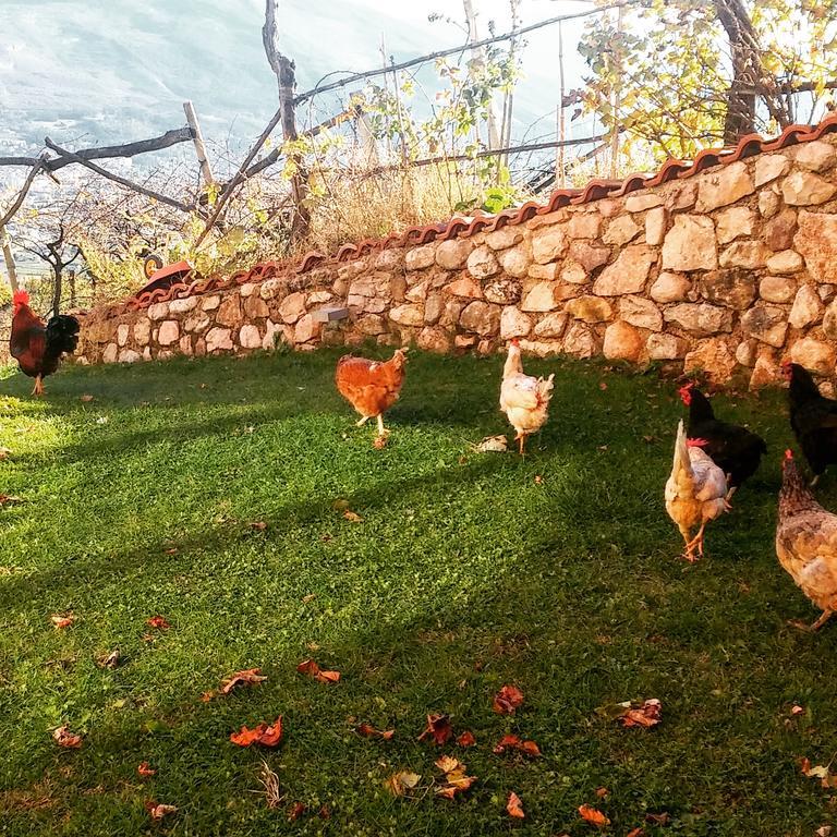 Agritur Maso Spezial Villa Villa Lagarina Kültér fotó