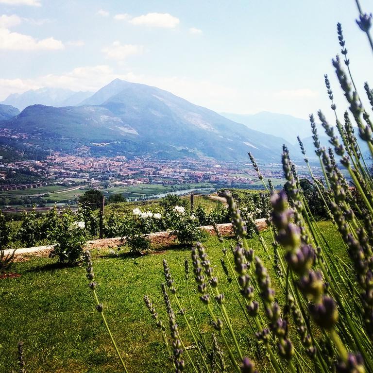 Agritur Maso Spezial Villa Villa Lagarina Kültér fotó